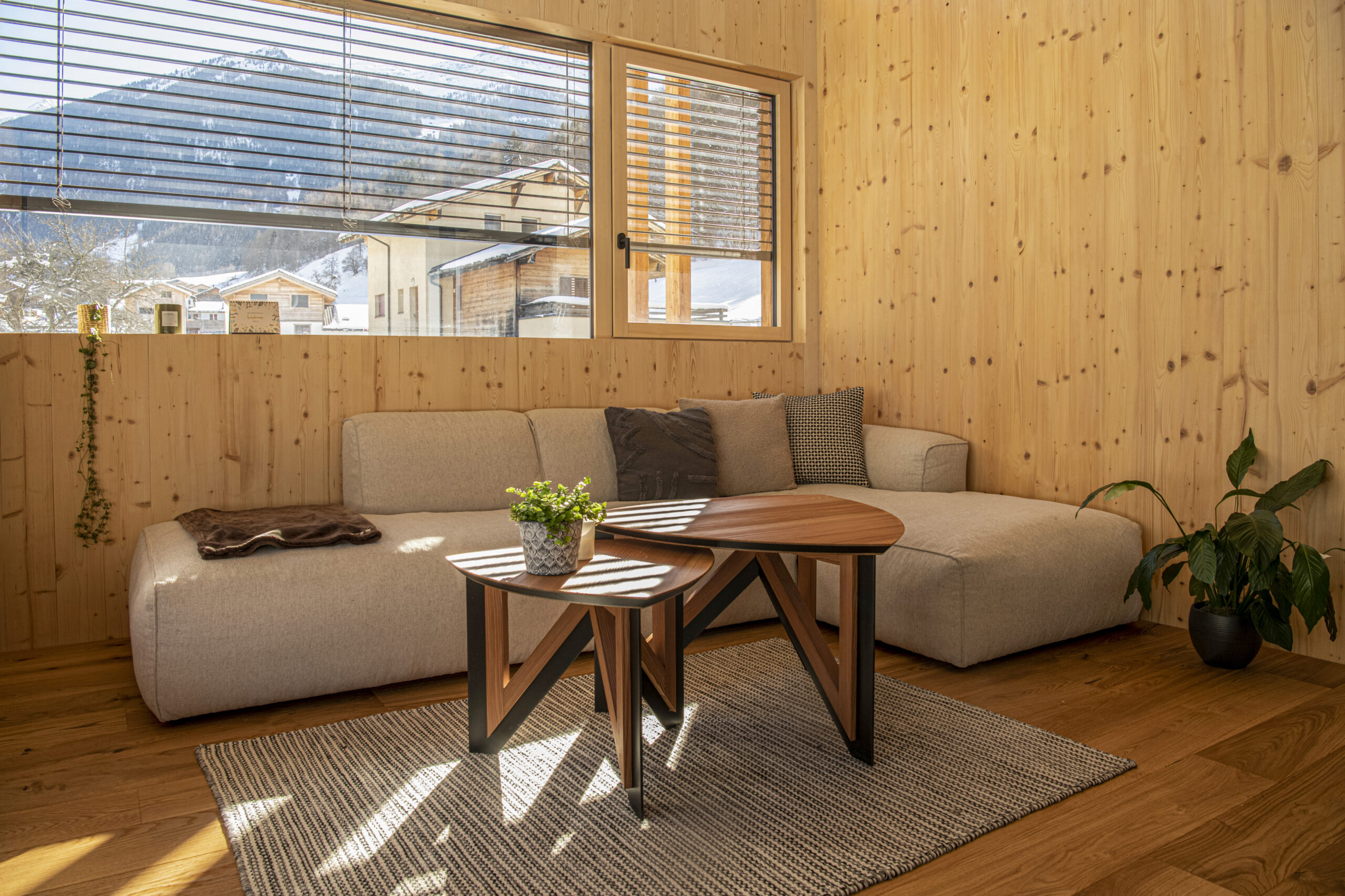 Machoud-villa-construction-bois-suisse